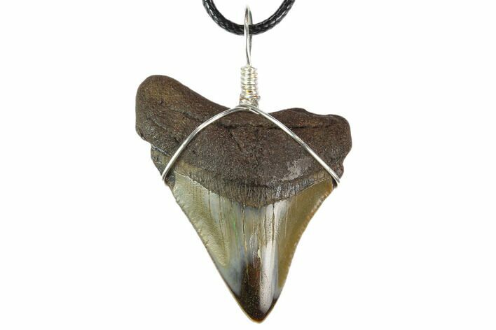 Fossil Megalodon Tooth Necklace #130389